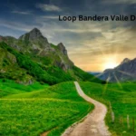 Loop Bandera Valle Del Cauca