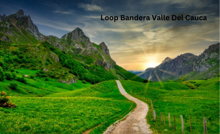 Loop Bandera Valle Del Cauca