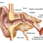 can you use a leaf blower with eusphatian tube dysfunction