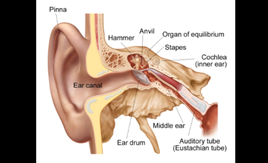 can you use a leaf blower with eusphatian tube dysfunction