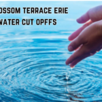 3822 blossom terrace erie pa how to turn off water