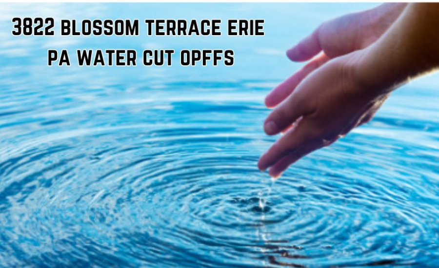 3822 blossom terrace erie pa how to turn off water