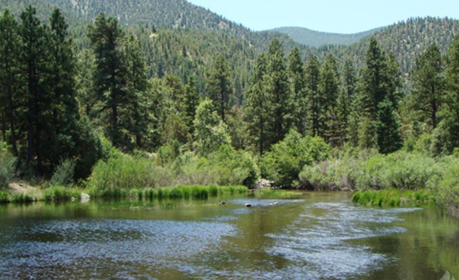 maverick campgrount new mexico fishing