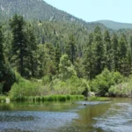 maverick campground new mexico fishing