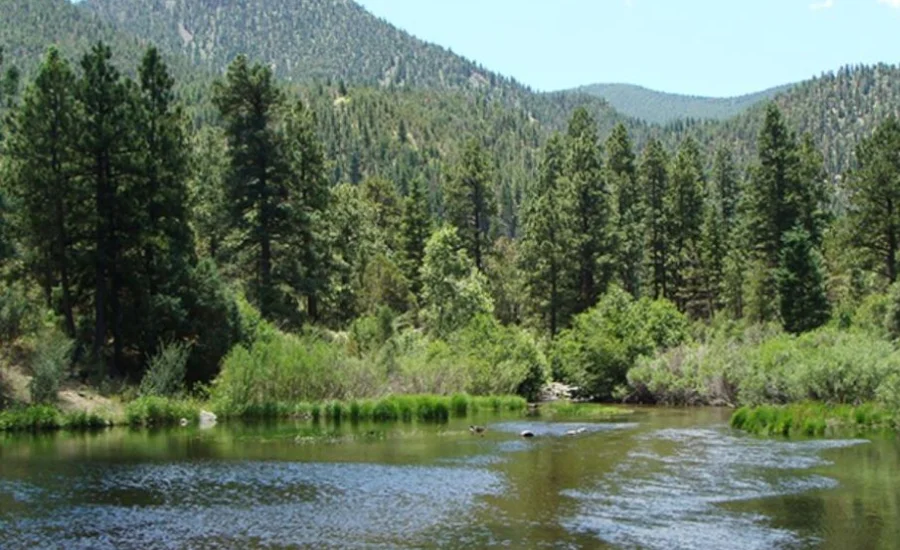 maverick campground new mexico fishing